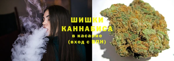 трава Ельня