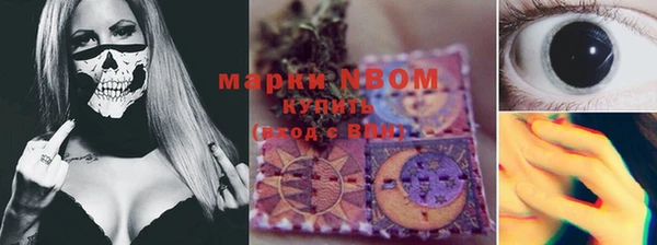 трава Ельня