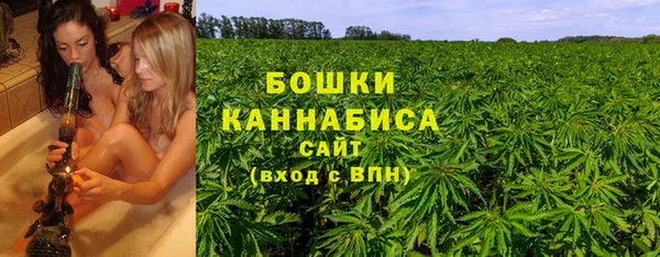 мет Елизово