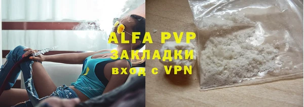 трава Ельня