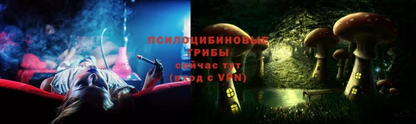 мет Елизово