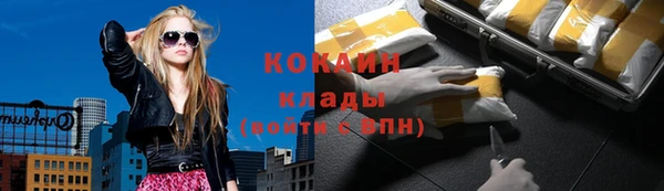 трава Ельня