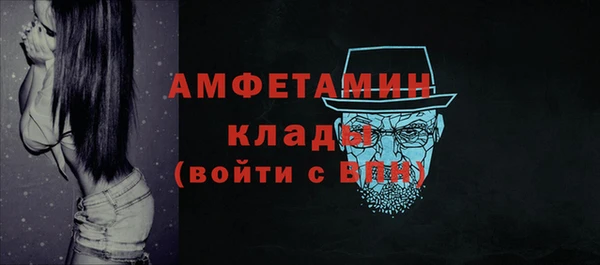 трава Ельня
