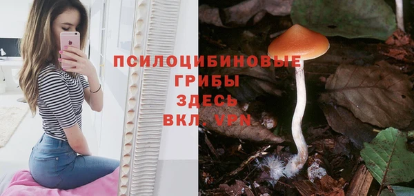 ECSTASY Елабуга