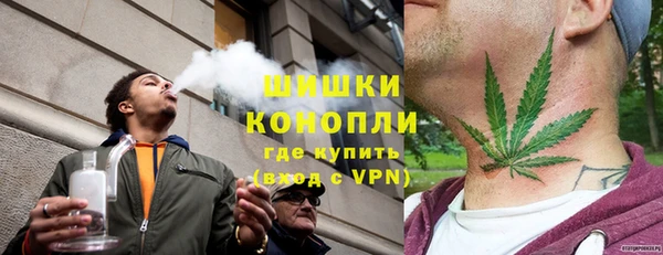 трава Ельня