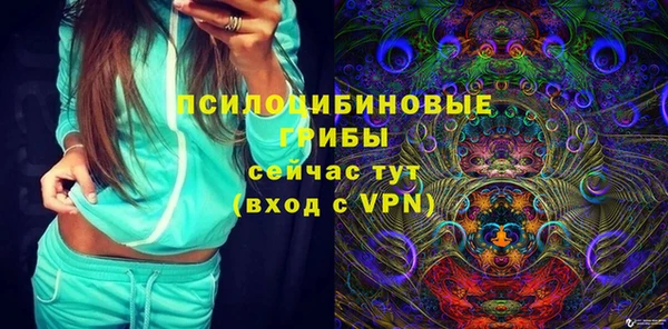 мет Елизово