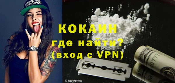 трава Ельня